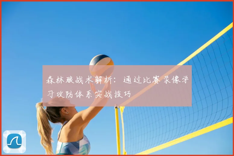森林狼战术解析:通过比赛录像学习攻防体系实战技巧