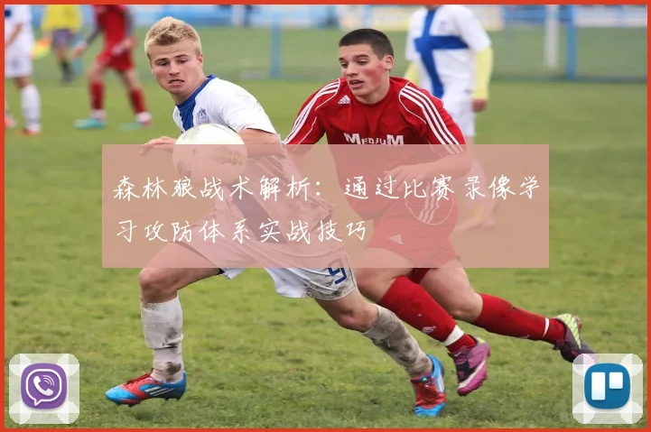 森林狼战术解析：通过比赛录像学习攻防体系实战技巧