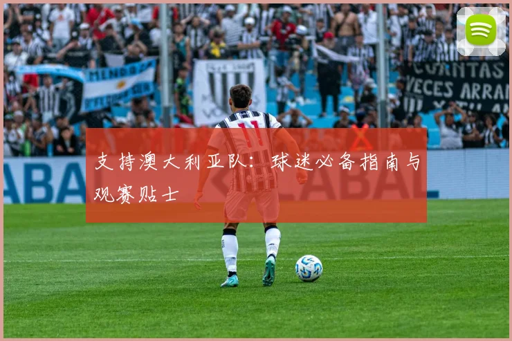支持澳大利亚队：球迷必备指南与观赛贴士